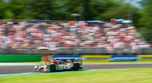 #28 JOTA / Oreca 07 - Gibson - FIA WEC 6h of Monza - Autodromo Nazionale Monza - Monza - Italy -