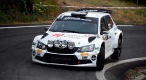 nicelli_1411