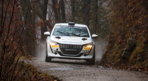 RALLY DEI LAGHI 202437 PEDERZANI-OMACINI