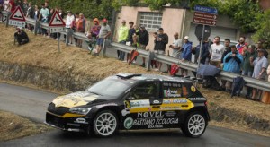volpi_0805
