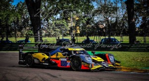 elms_0807