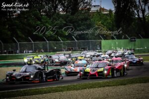elms